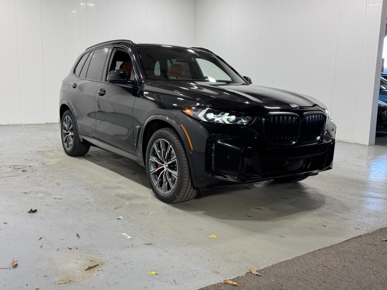 BMW X5 Vehicle Full-screen Gallery Image 6