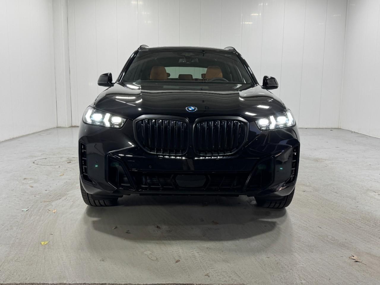 BMW X5 Vehicle Full-screen Gallery Image 7