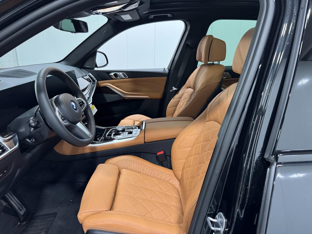 BMW X5 Vehicle Full-screen Gallery Image 27