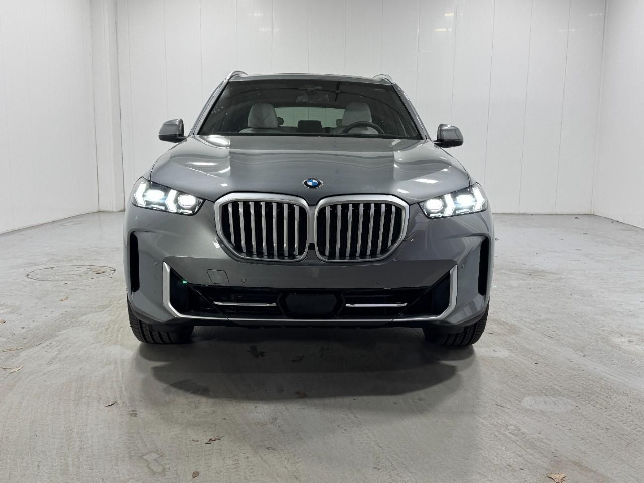 BMW X5 Vehicle Full-screen Gallery Image 7