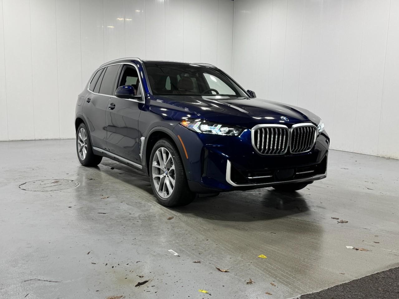BMW X5 Vehicle Full-screen Gallery Image 6