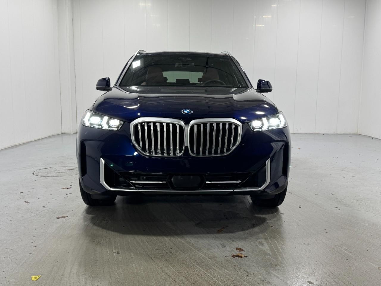 BMW X5 Vehicle Full-screen Gallery Image 7