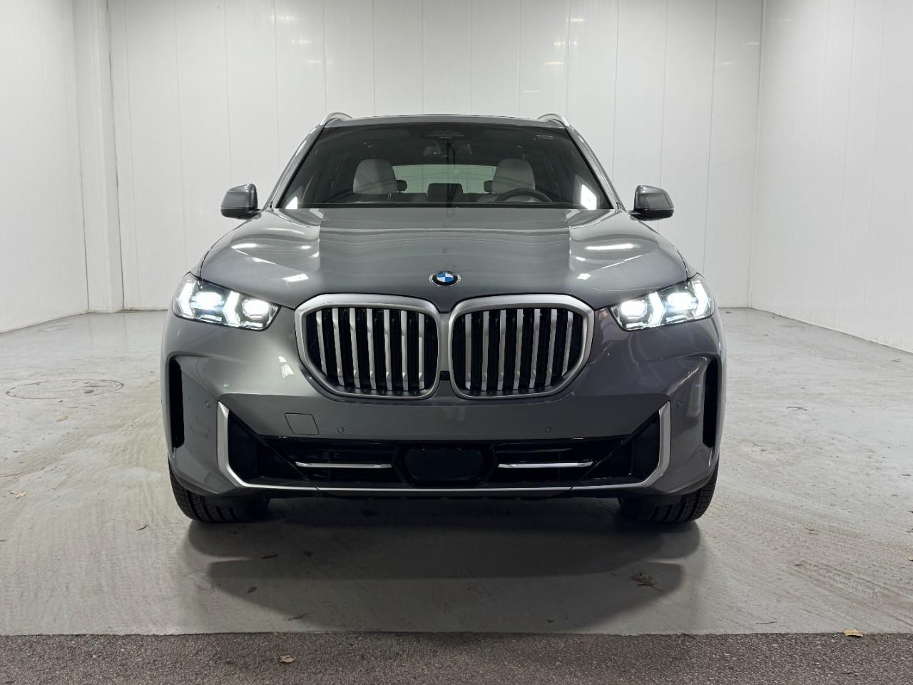 BMW X5 Vehicle Full-screen Gallery Image 7