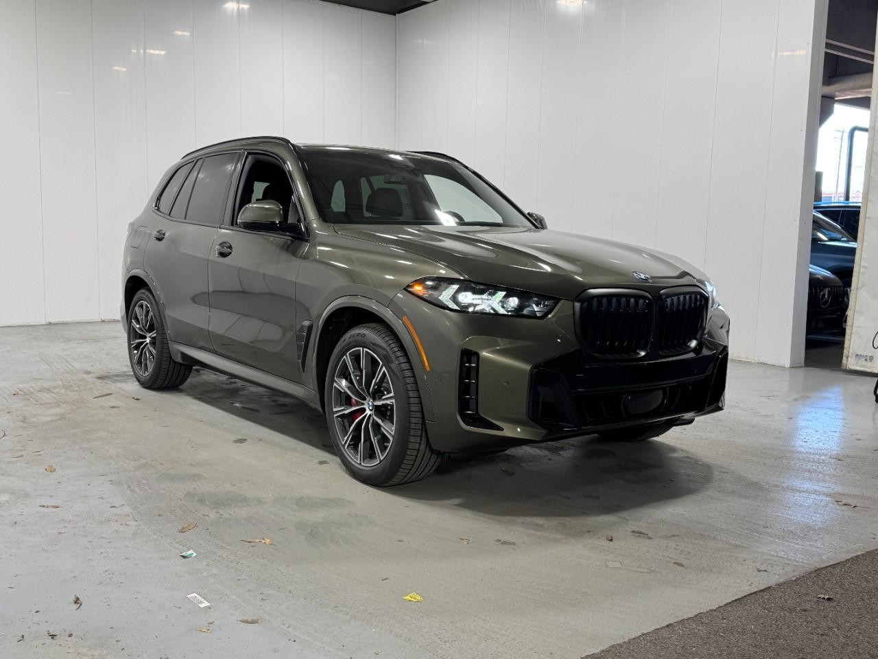 BMW X5 Vehicle Full-screen Gallery Image 6