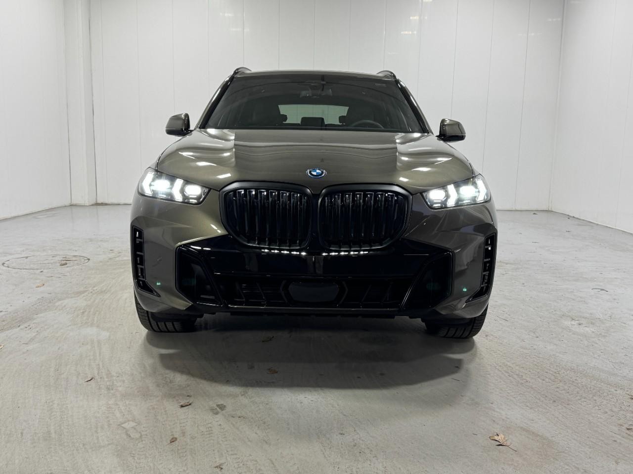 BMW X5 Vehicle Full-screen Gallery Image 7