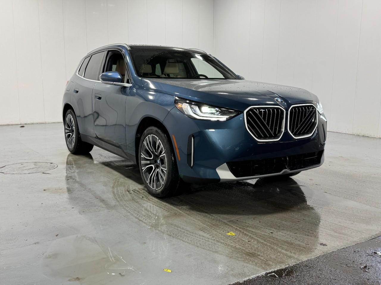 BMW X3 Vehicle Full-screen Gallery Image 6