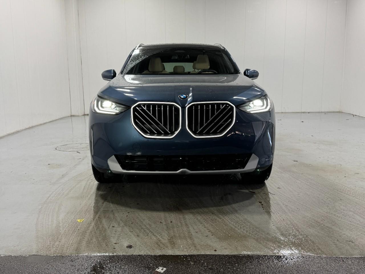 BMW X3 Vehicle Full-screen Gallery Image 7