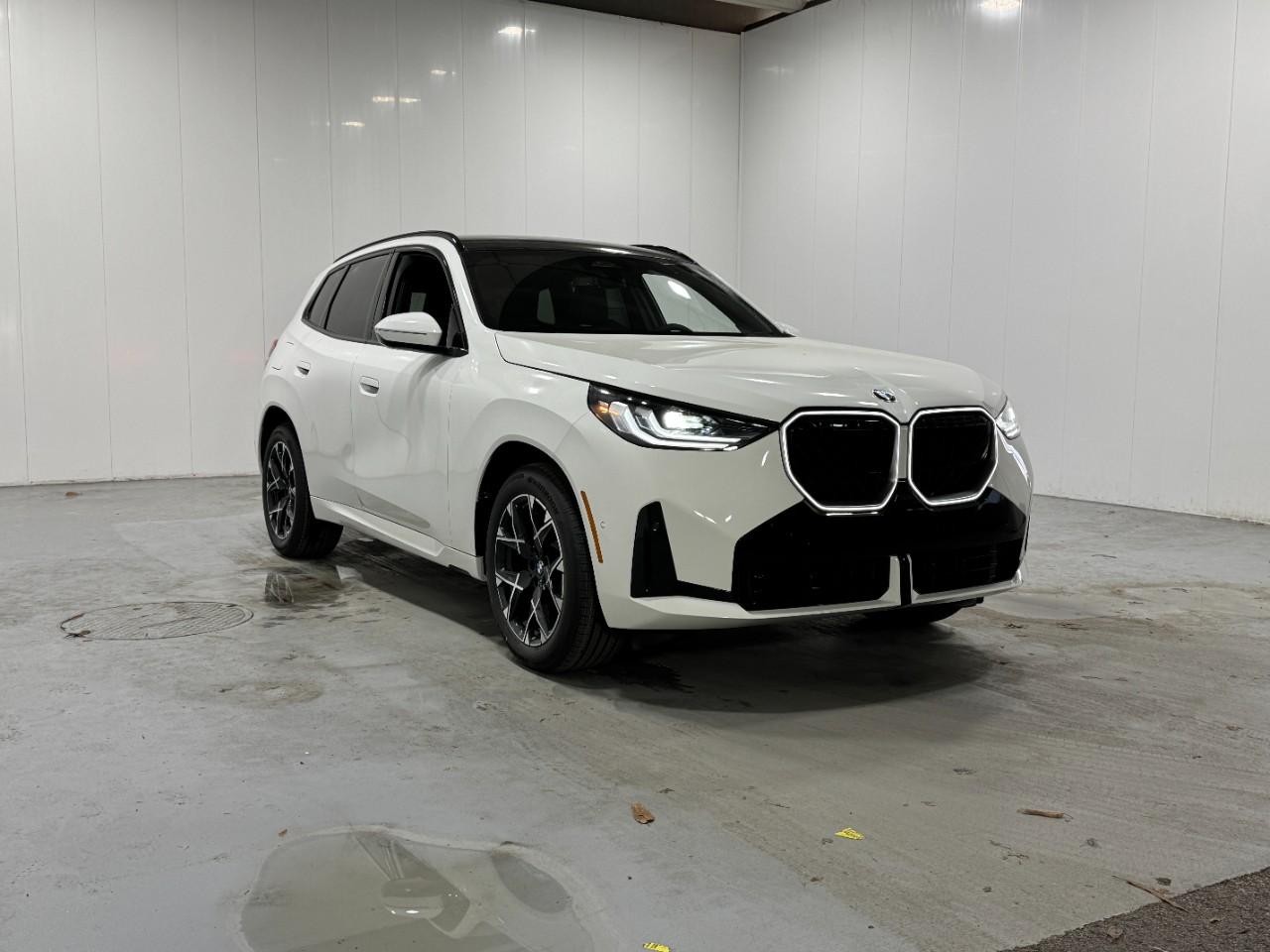 BMW X3 Vehicle Full-screen Gallery Image 6