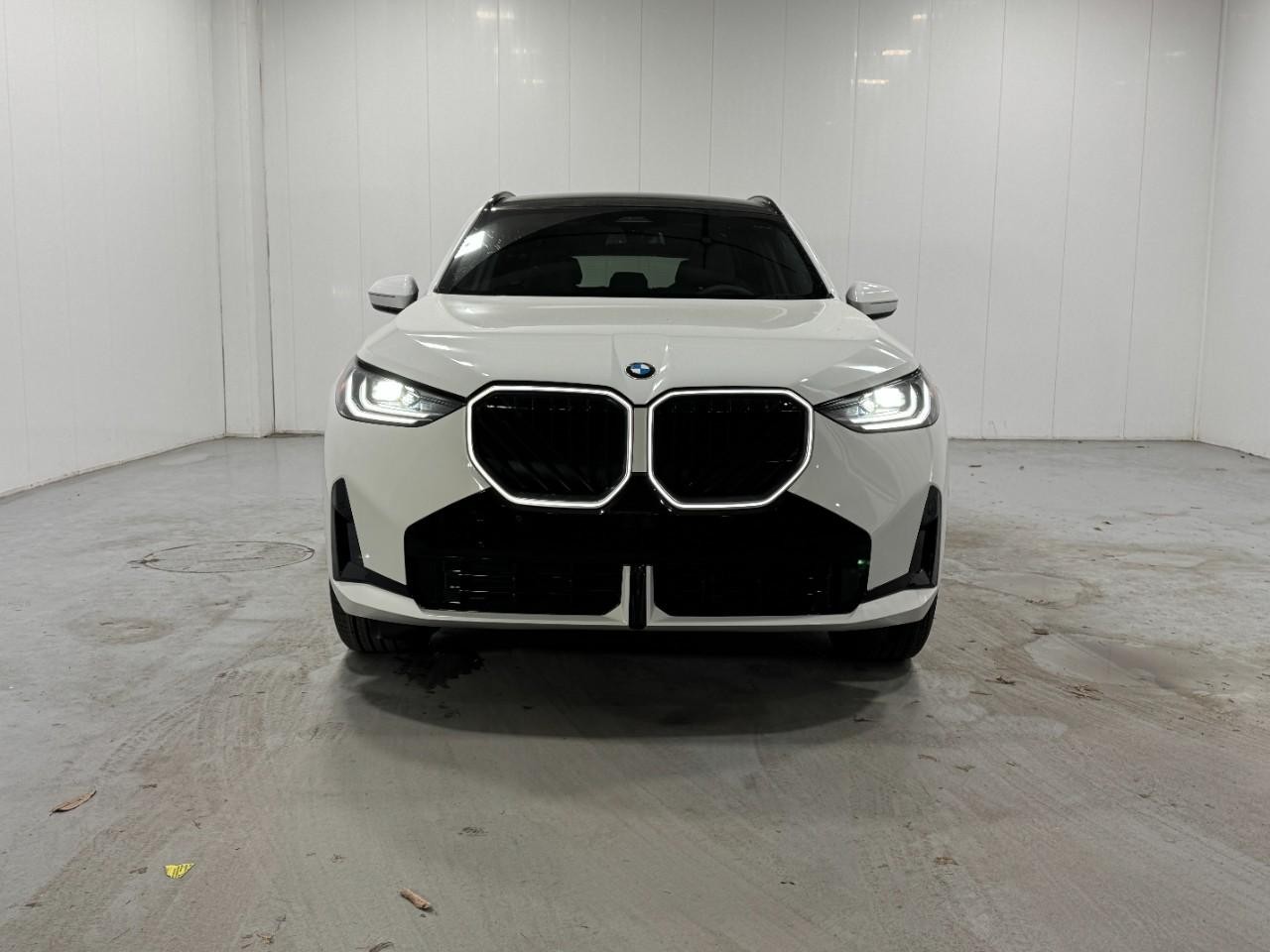 BMW X3 Vehicle Full-screen Gallery Image 7