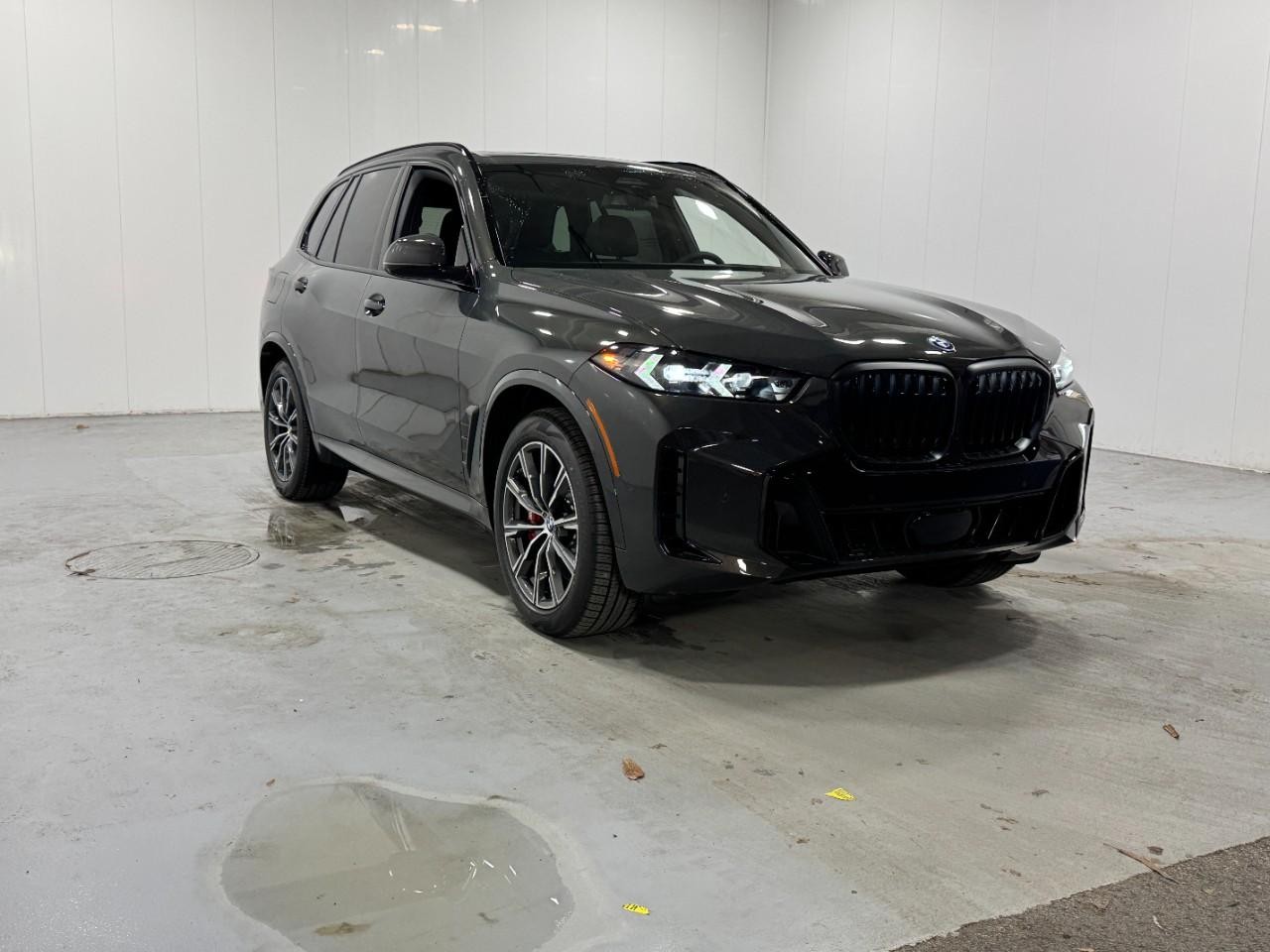 BMW X5 Vehicle Full-screen Gallery Image 6