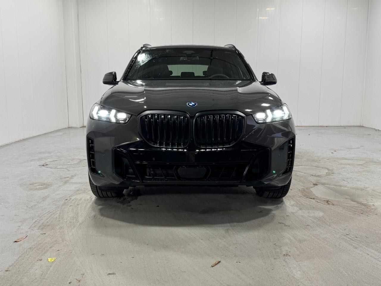 BMW X5 Vehicle Full-screen Gallery Image 7