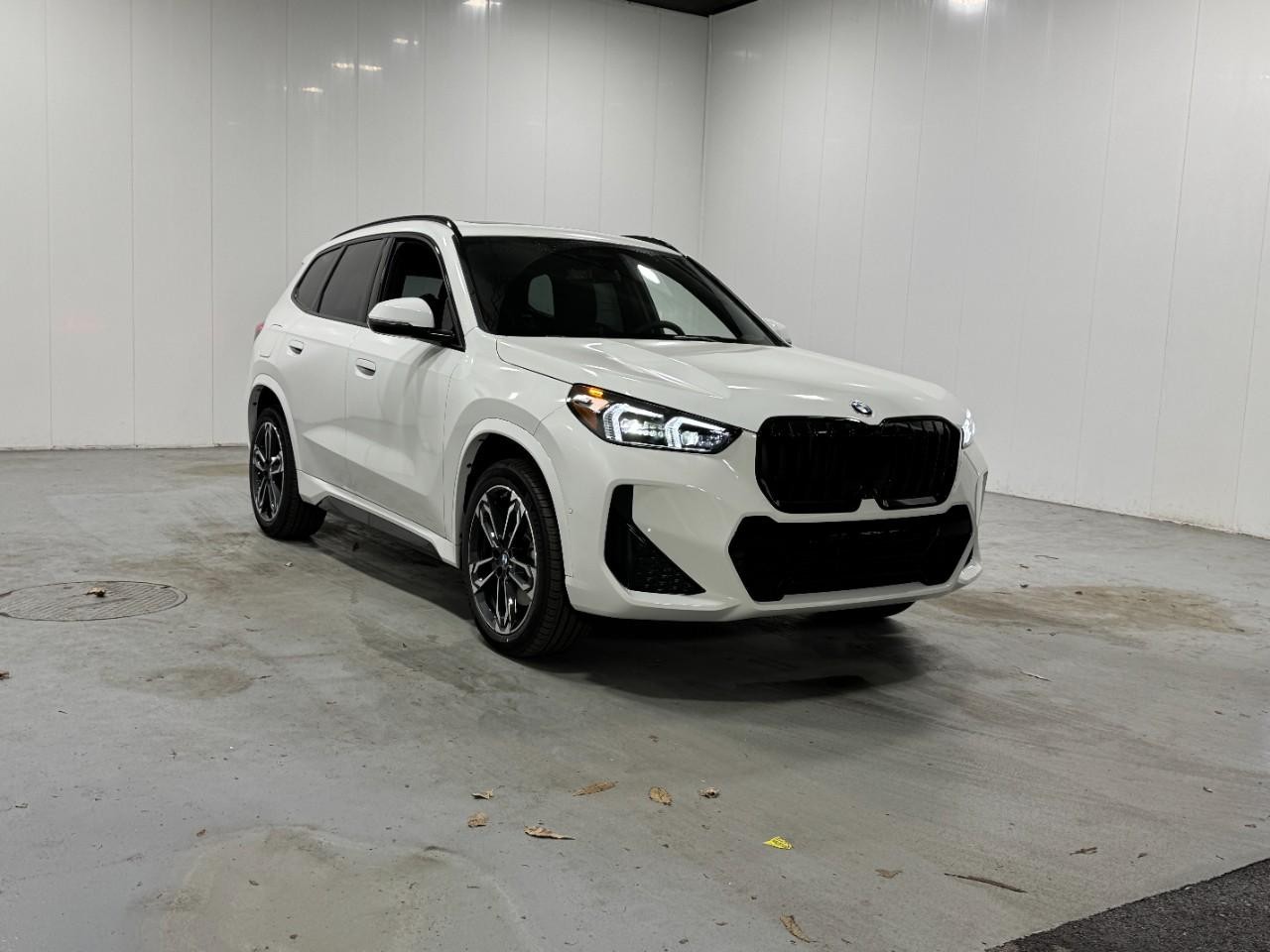 BMW X1 Vehicle Full-screen Gallery Image 6