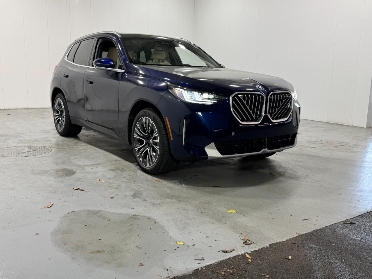 BMW X3 Vehicle Full-screen Gallery Image 6