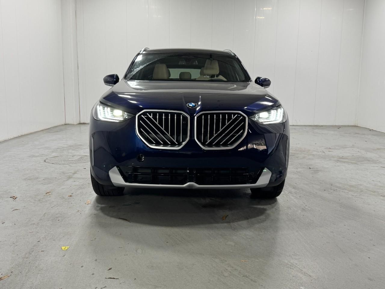 BMW X3 Vehicle Full-screen Gallery Image 7