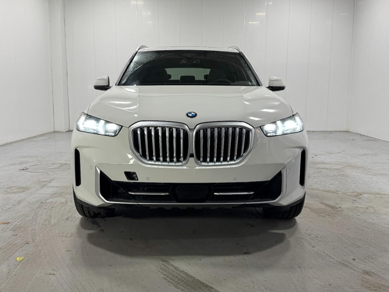 BMW X5 Vehicle Full-screen Gallery Image 7