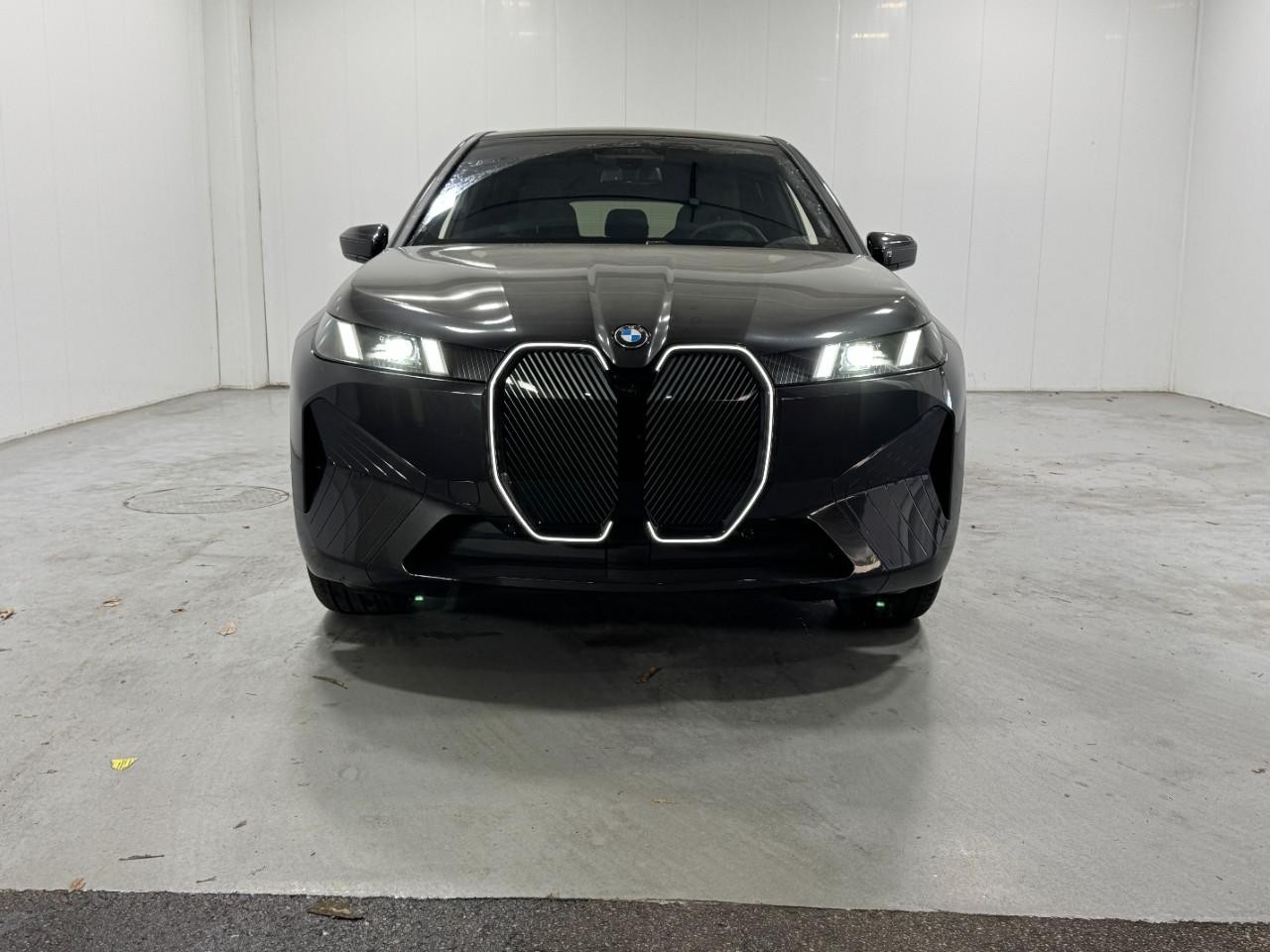 BMW iX Vehicle Full-screen Gallery Image 8