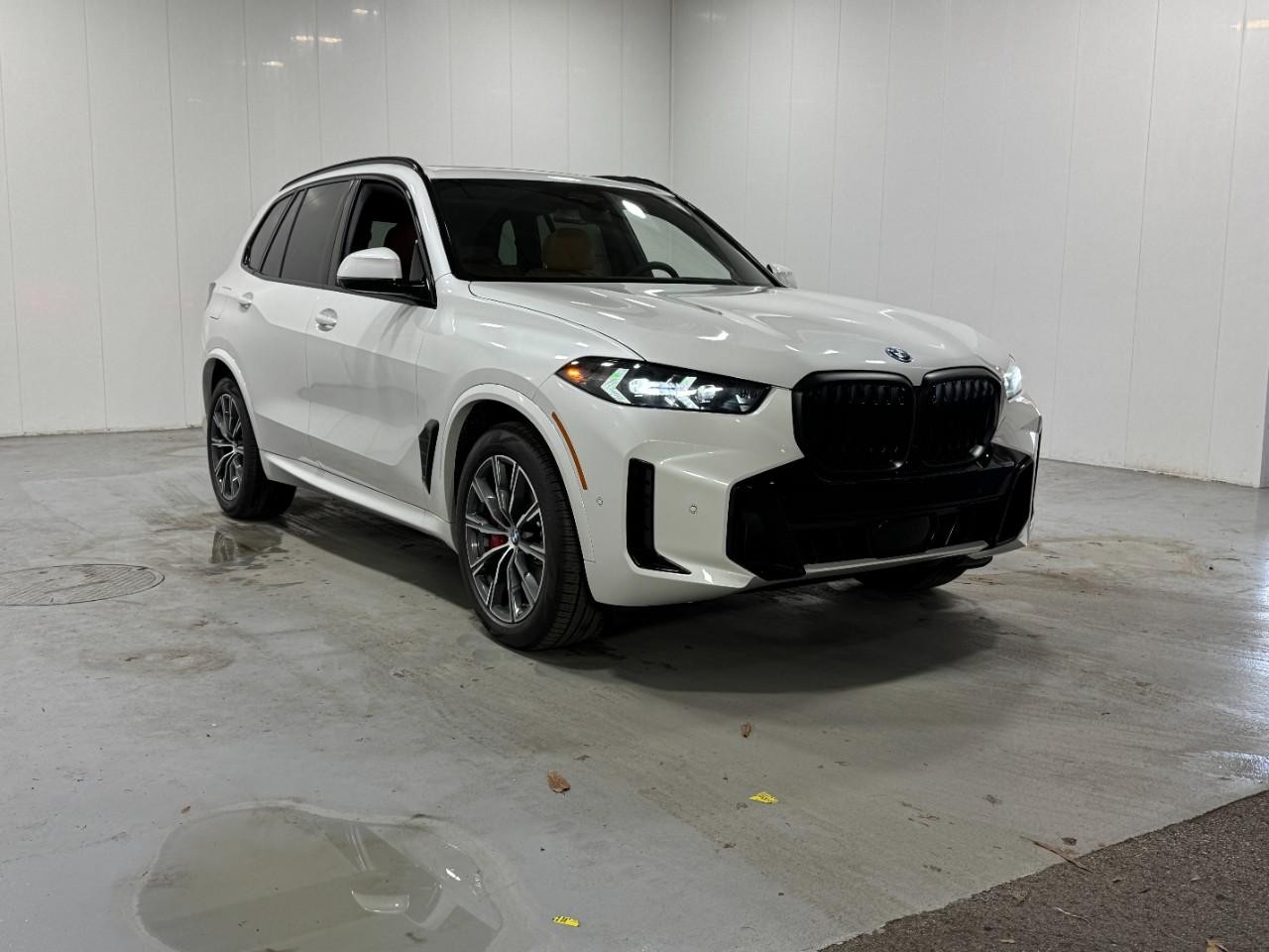 BMW X5 Vehicle Full-screen Gallery Image 6