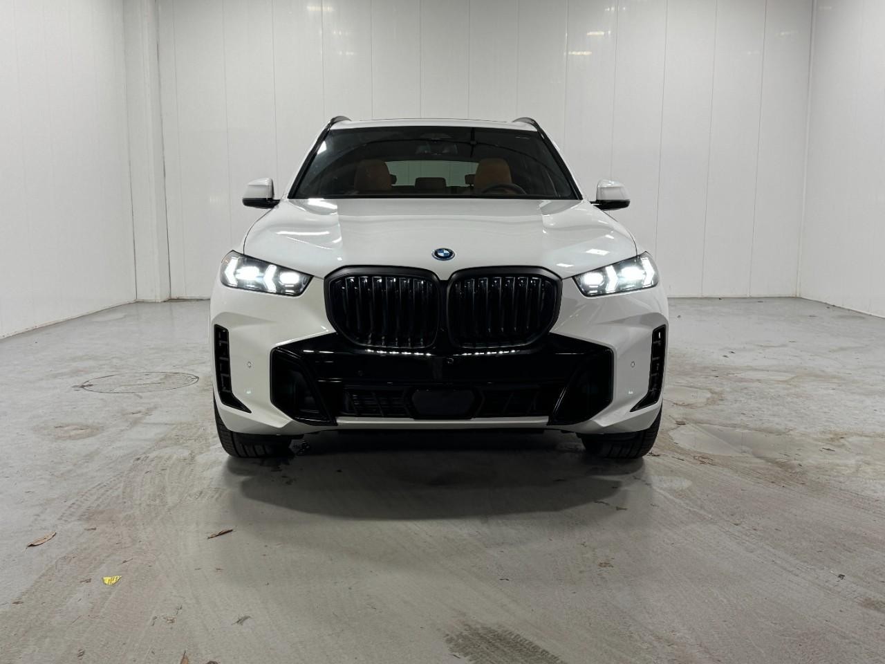 BMW X5 Vehicle Full-screen Gallery Image 7