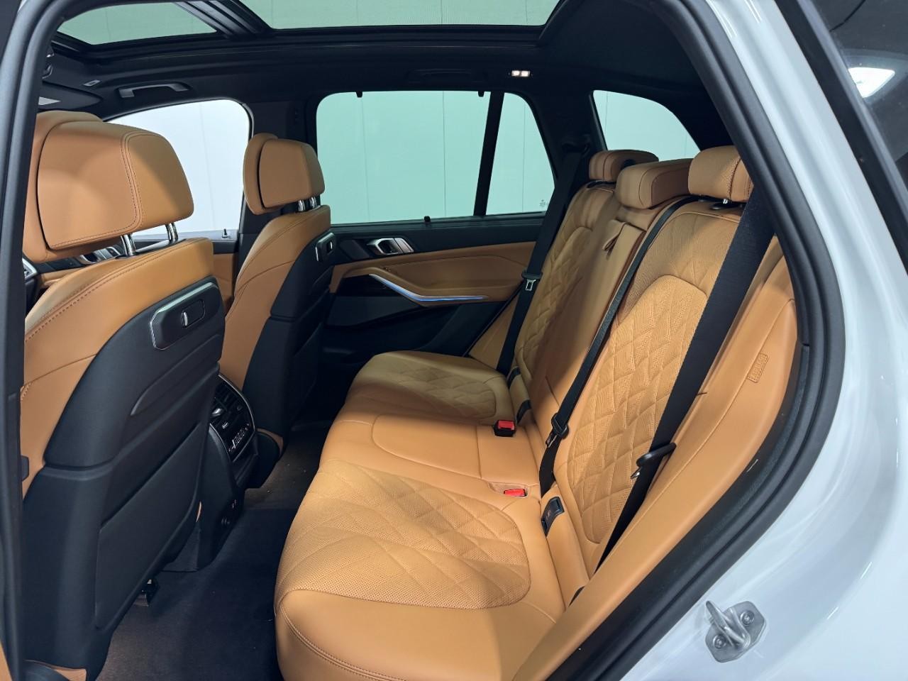 BMW X5 Vehicle Full-screen Gallery Image 8