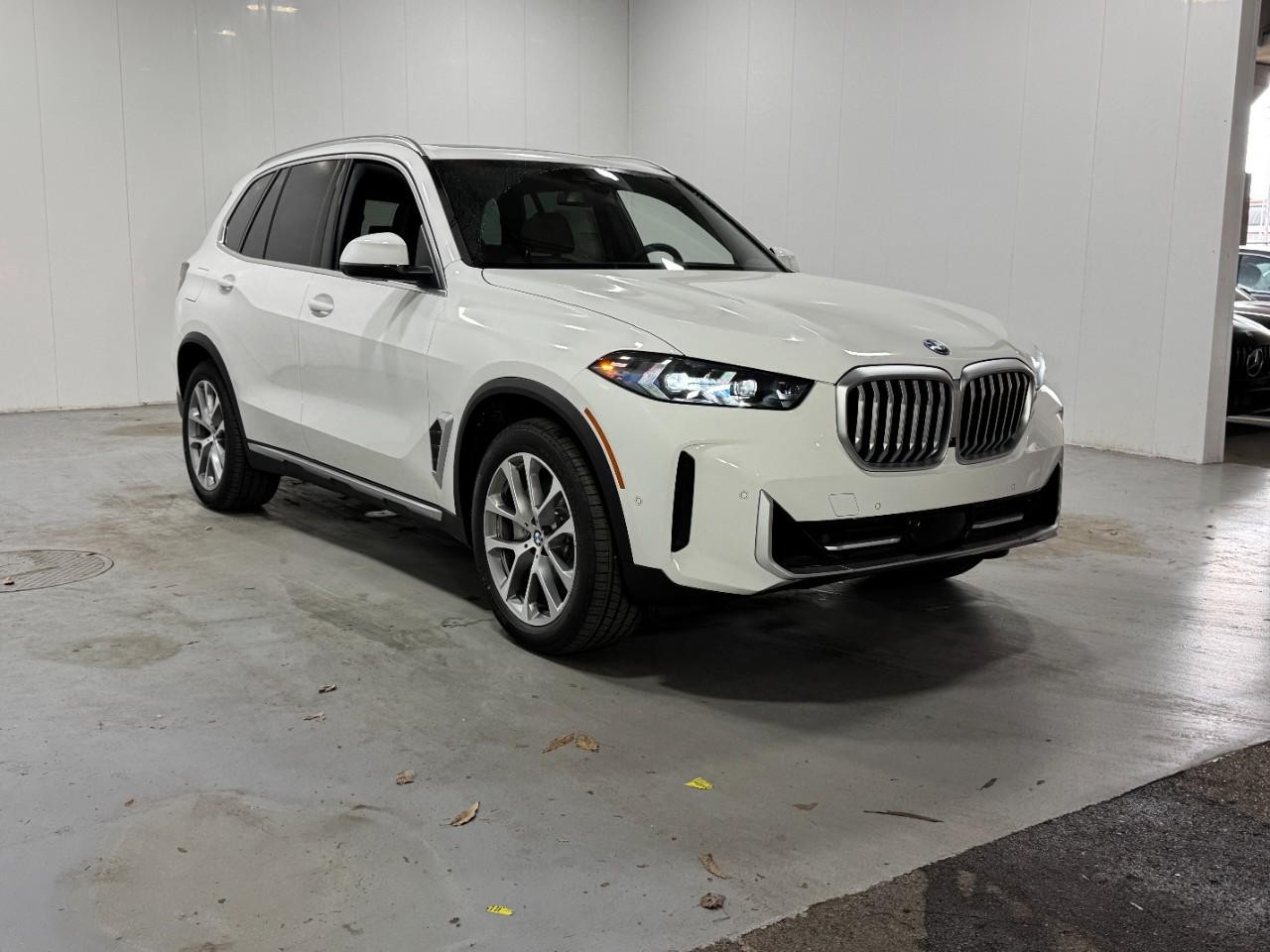 BMW X5 Vehicle Full-screen Gallery Image 6