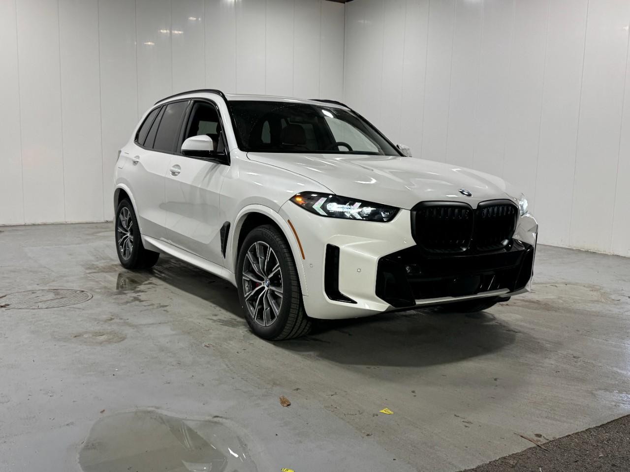 BMW X5 Vehicle Full-screen Gallery Image 6