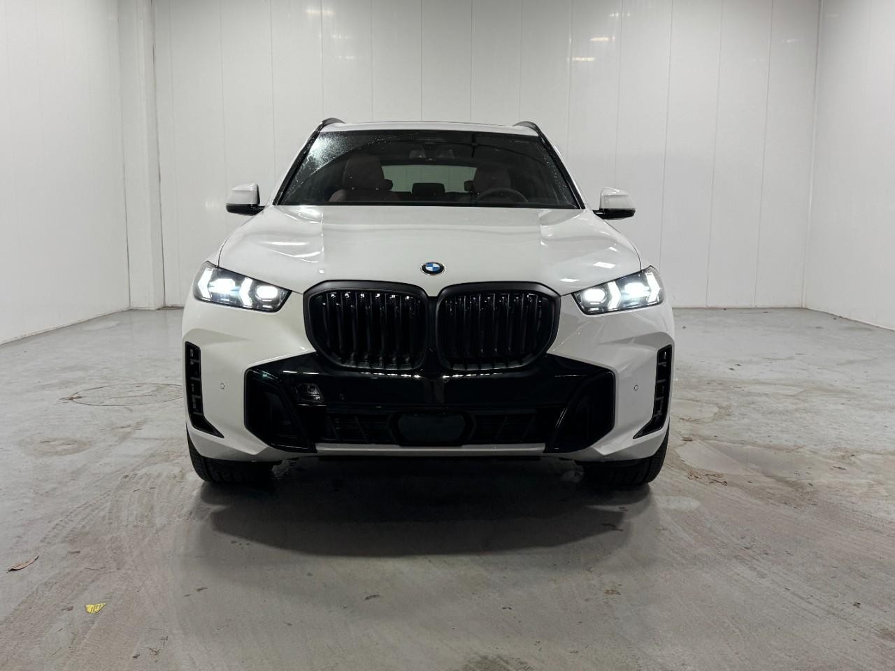 BMW X5 Vehicle Full-screen Gallery Image 7