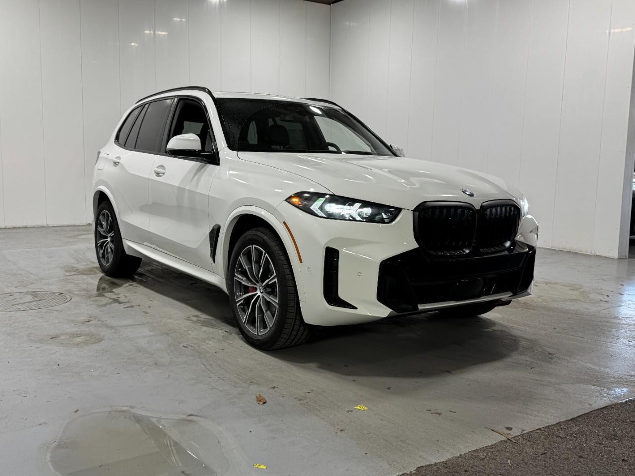 BMW X5 Vehicle Full-screen Gallery Image 6