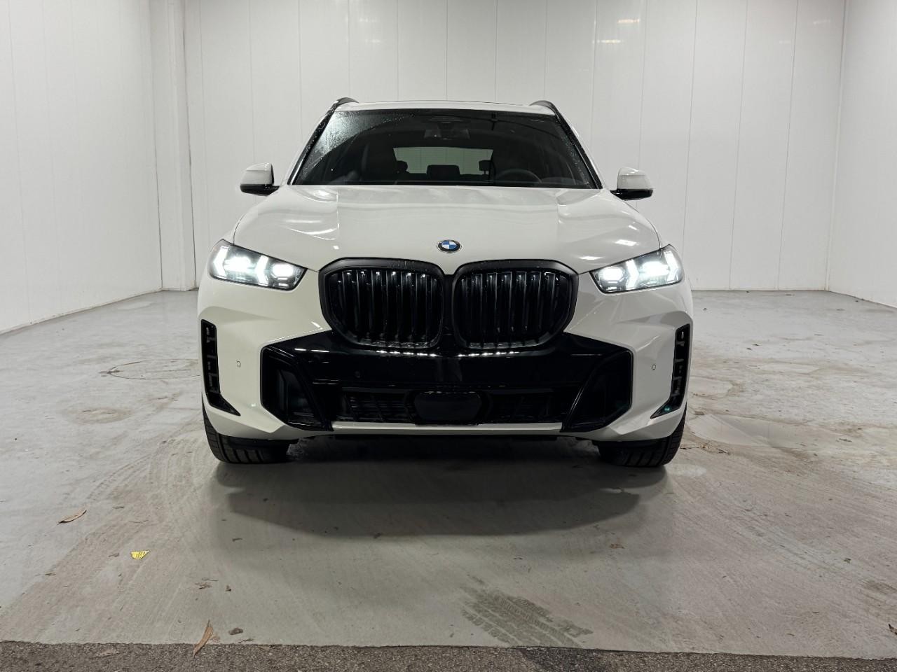 BMW X5 Vehicle Full-screen Gallery Image 7