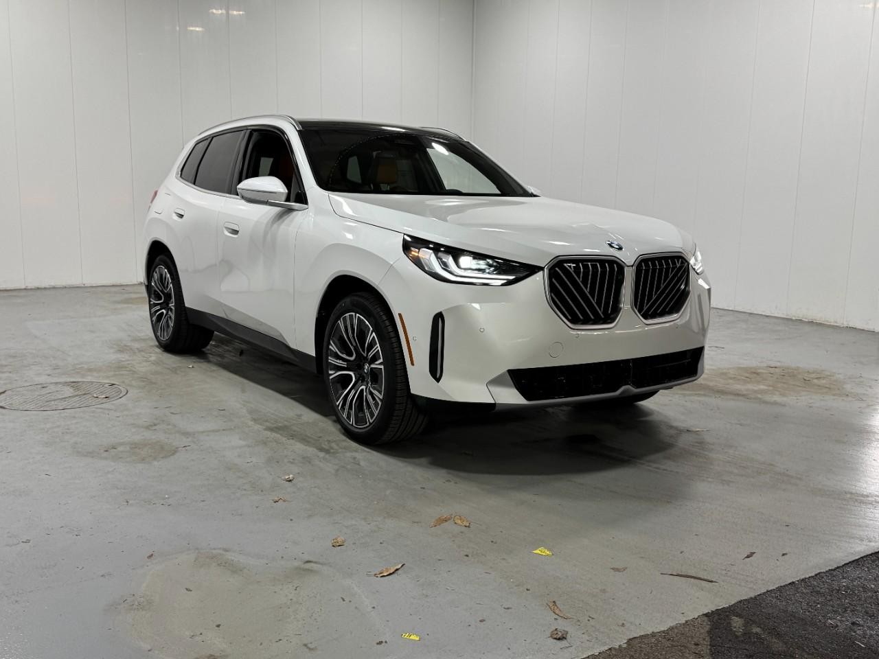 BMW X3 Vehicle Full-screen Gallery Image 6