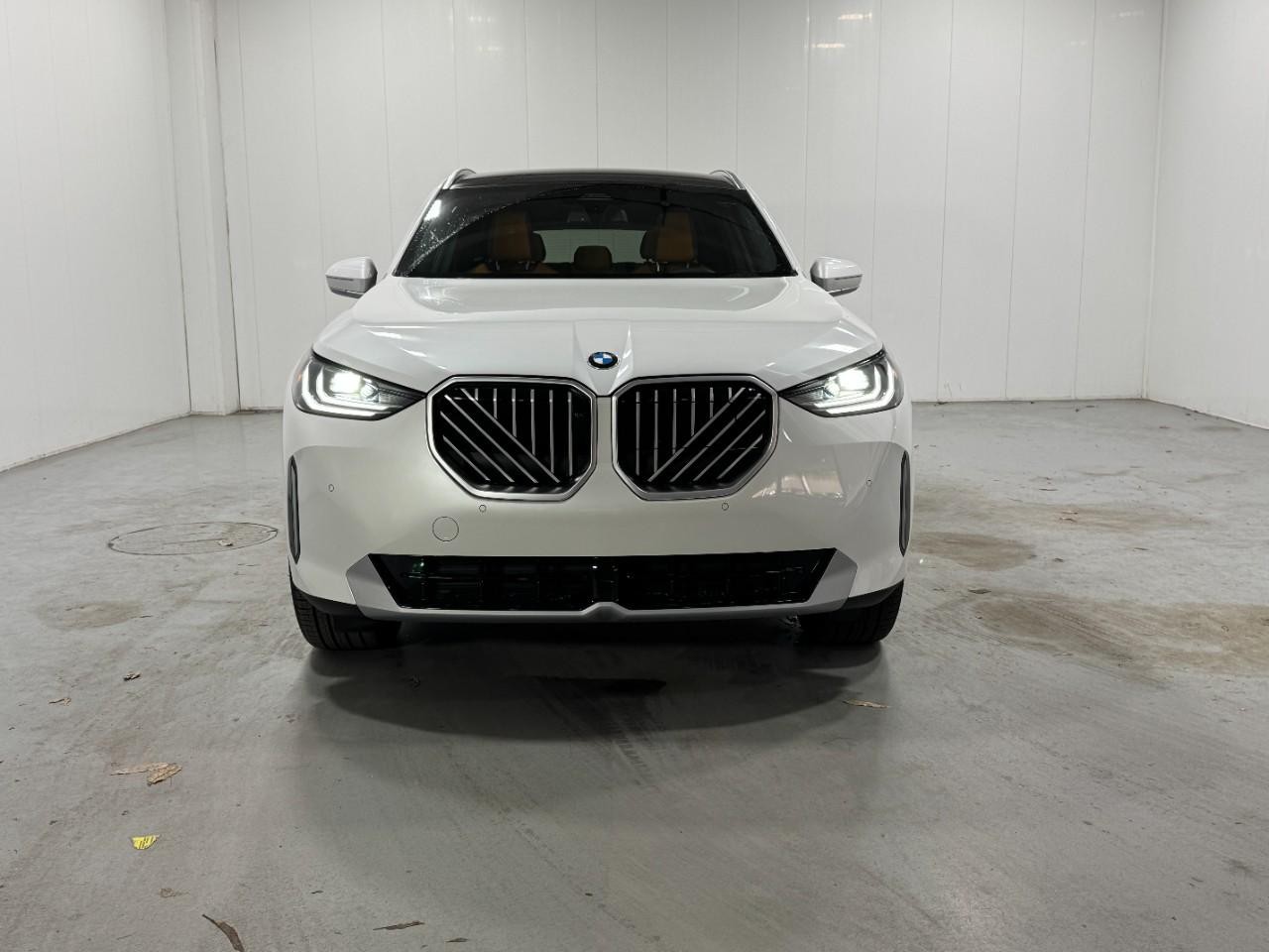 BMW X3 Vehicle Full-screen Gallery Image 7