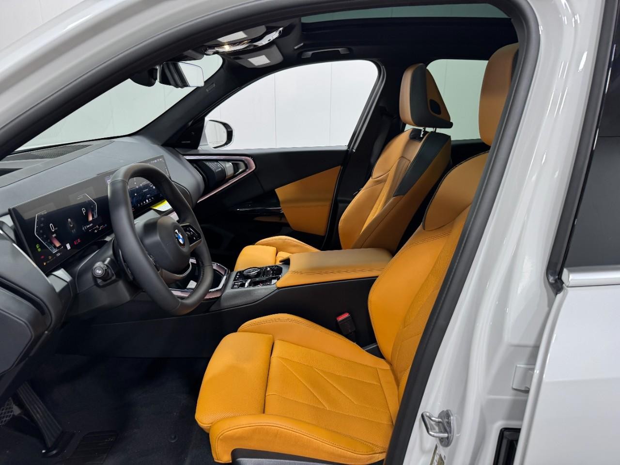 BMW X3 Vehicle Full-screen Gallery Image 26