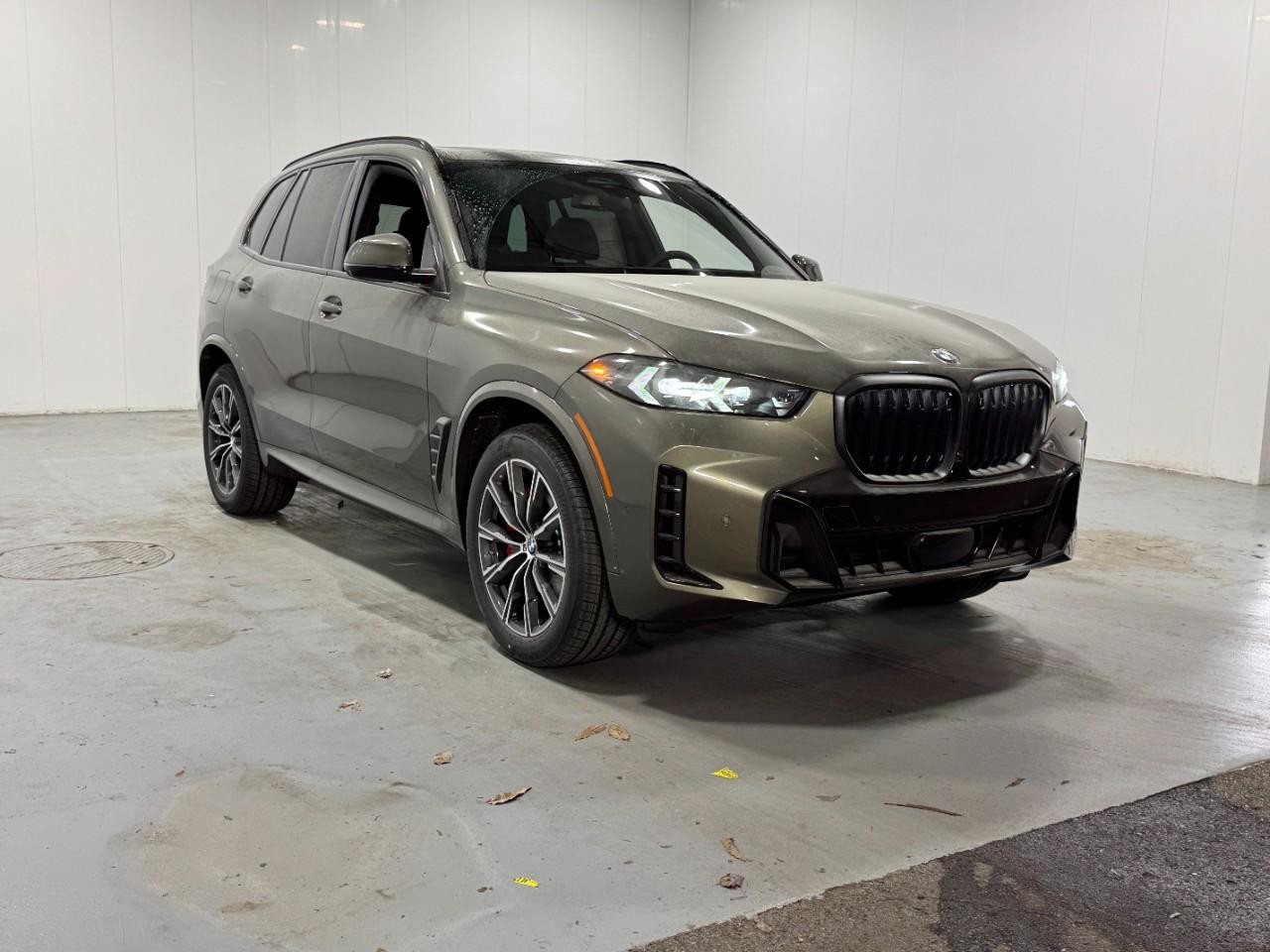 BMW X5 Vehicle Full-screen Gallery Image 6