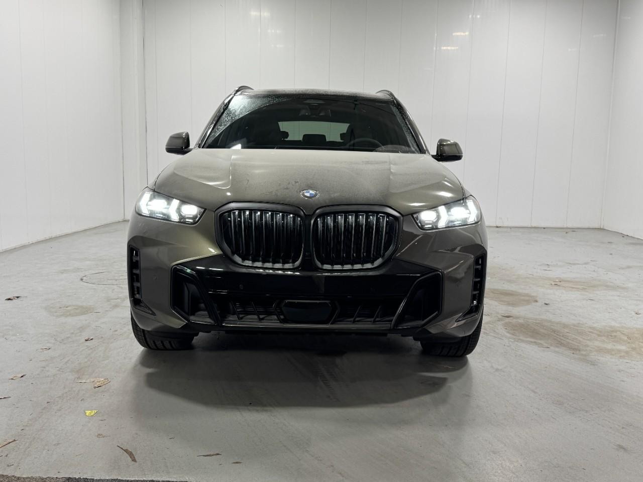 BMW X5 Vehicle Full-screen Gallery Image 7