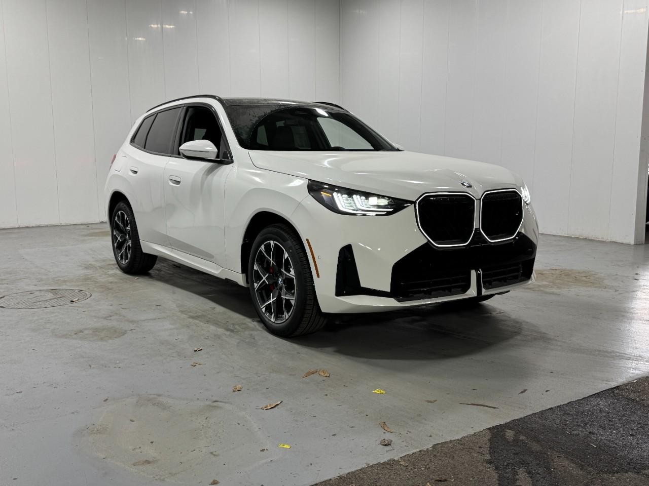 BMW X3 Vehicle Full-screen Gallery Image 6