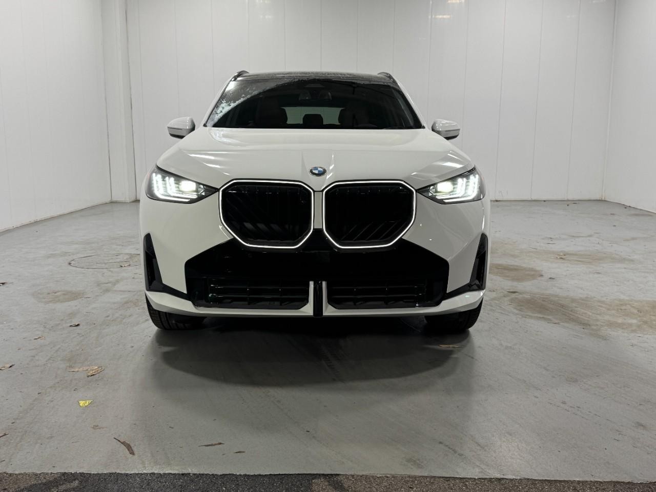 BMW X3 Vehicle Full-screen Gallery Image 7