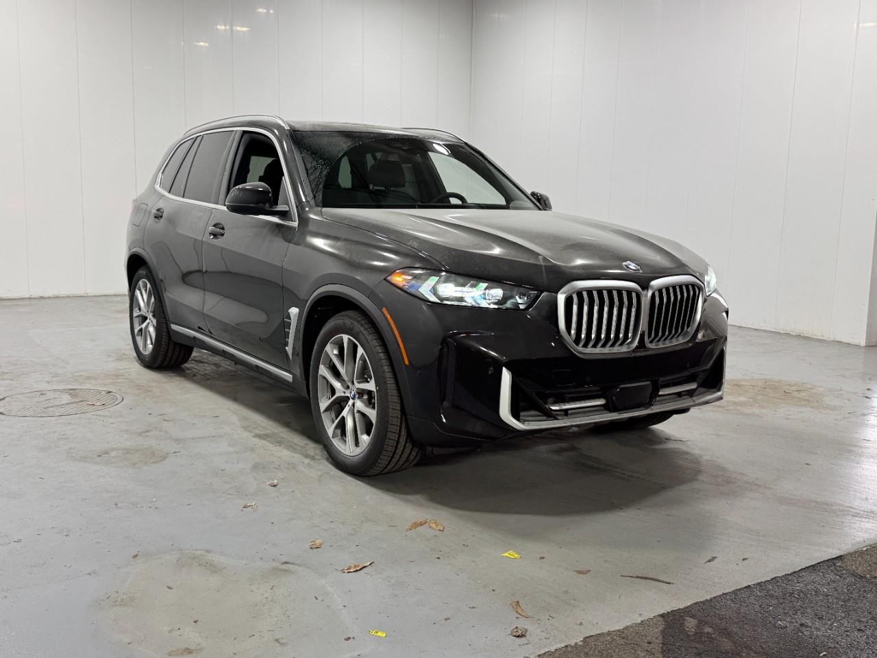 BMW X5 Vehicle Full-screen Gallery Image 6