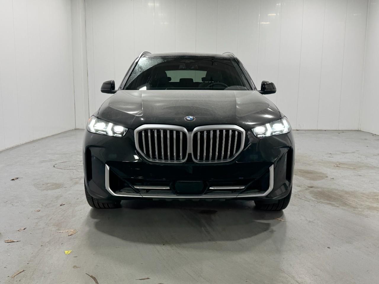 BMW X5 Vehicle Full-screen Gallery Image 7