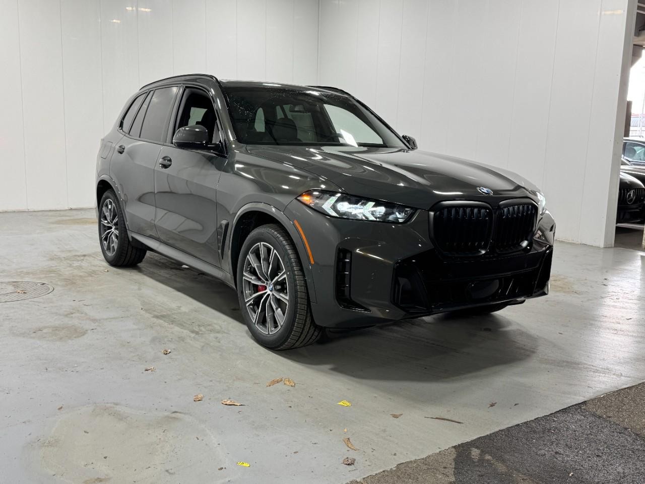 BMW X5 Vehicle Full-screen Gallery Image 6