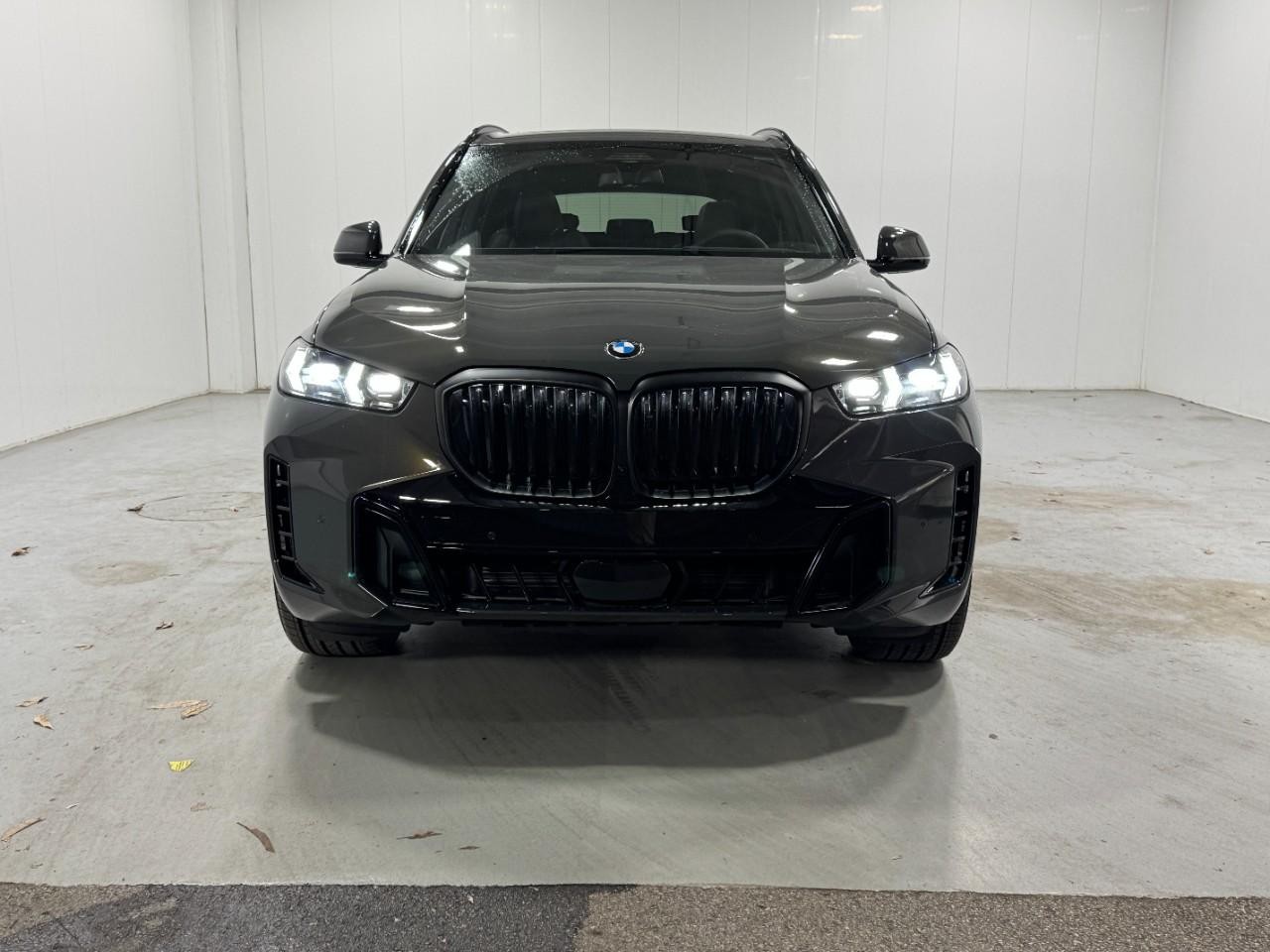 BMW X5 Vehicle Full-screen Gallery Image 7