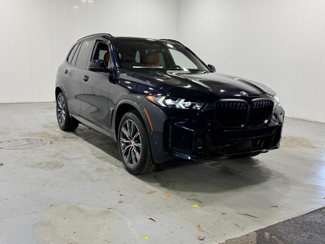 BMW X5 Vehicle Full-screen Gallery Image 6