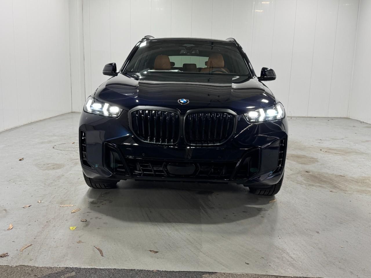 BMW X5 Vehicle Full-screen Gallery Image 7