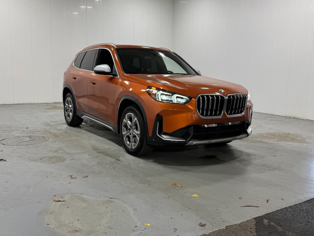 BMW X1 Vehicle Full-screen Gallery Image 6