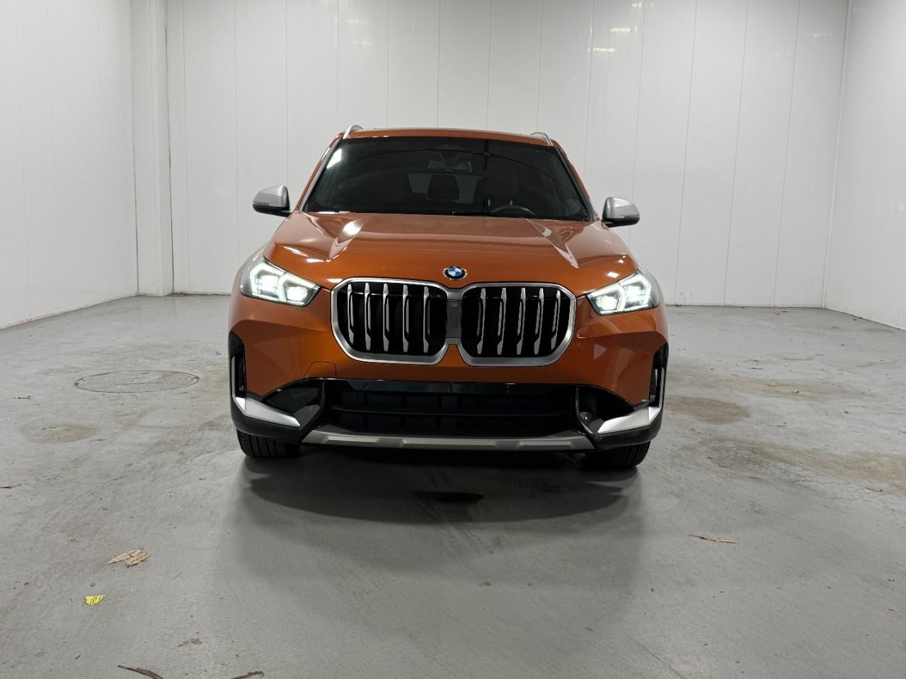 BMW X1 Vehicle Full-screen Gallery Image 7