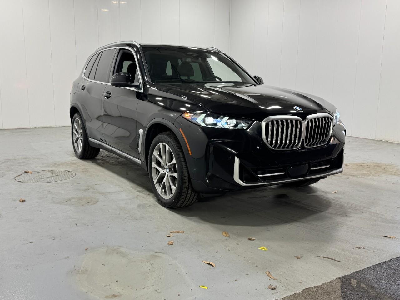 BMW X5 Vehicle Full-screen Gallery Image 6