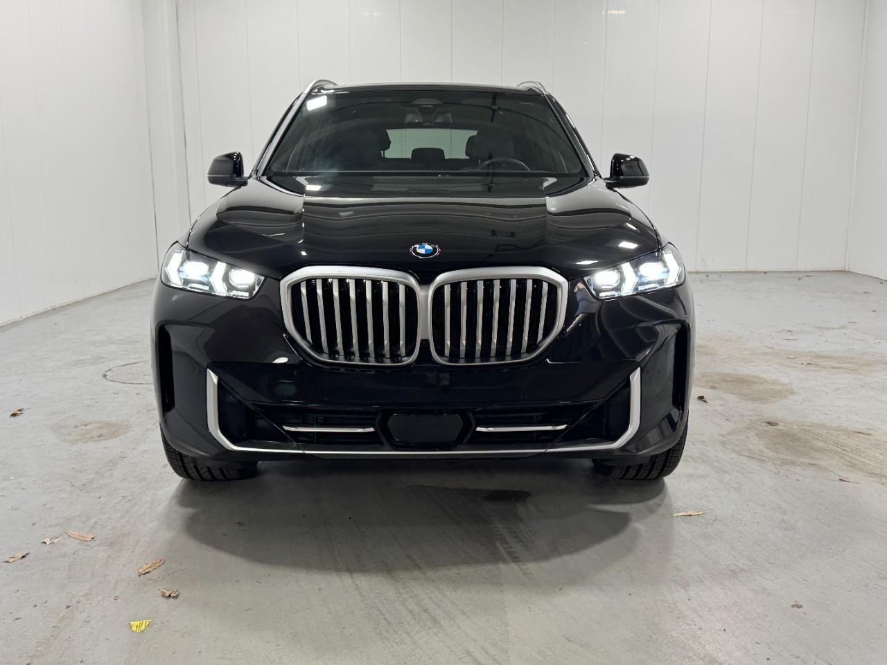 BMW X5 Vehicle Full-screen Gallery Image 7