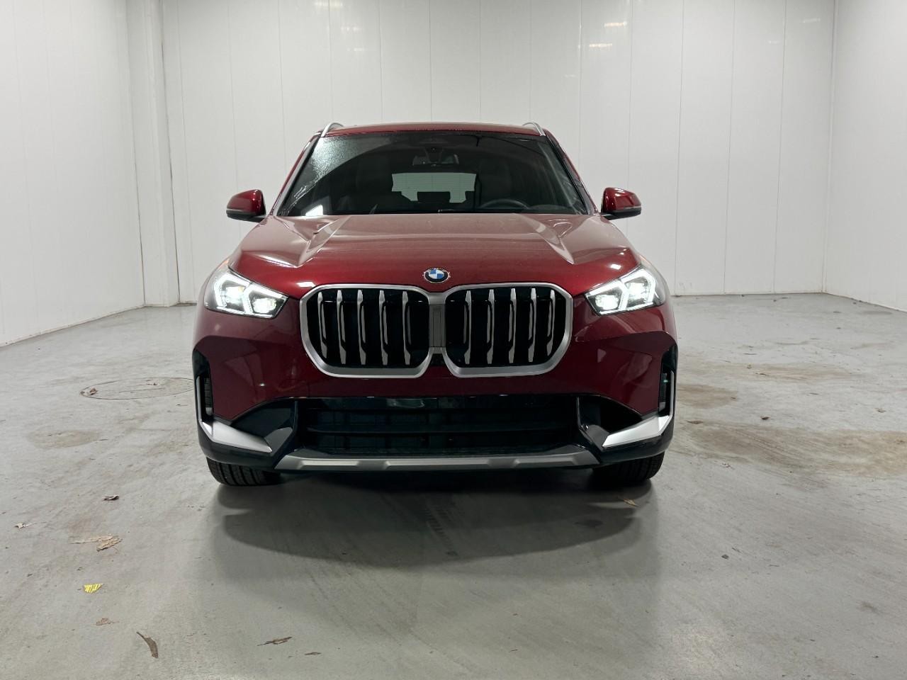 BMW X1 Vehicle Full-screen Gallery Image 7