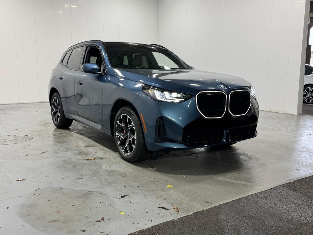 BMW X3 Vehicle Full-screen Gallery Image 6