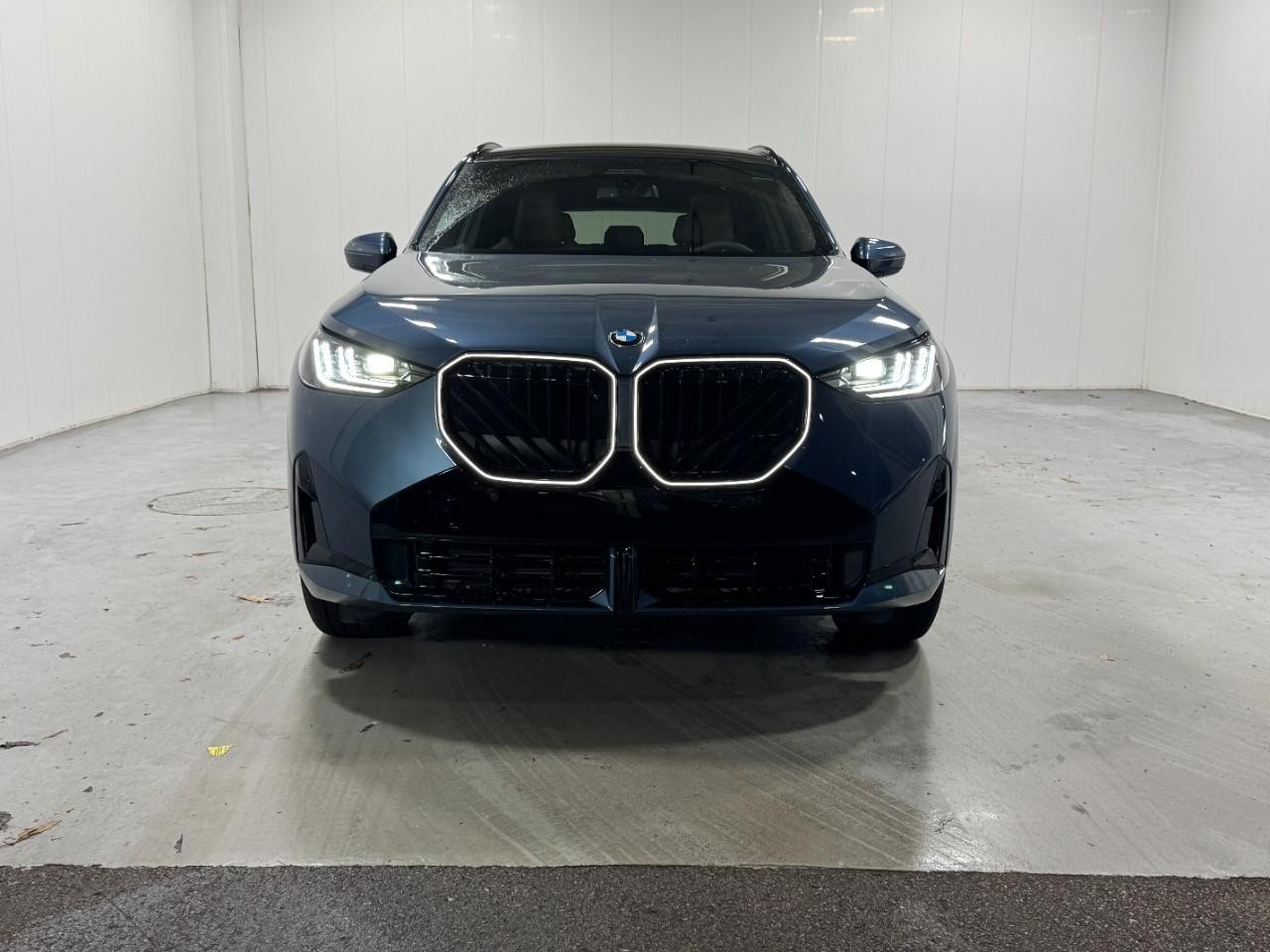 BMW X3 Vehicle Full-screen Gallery Image 7