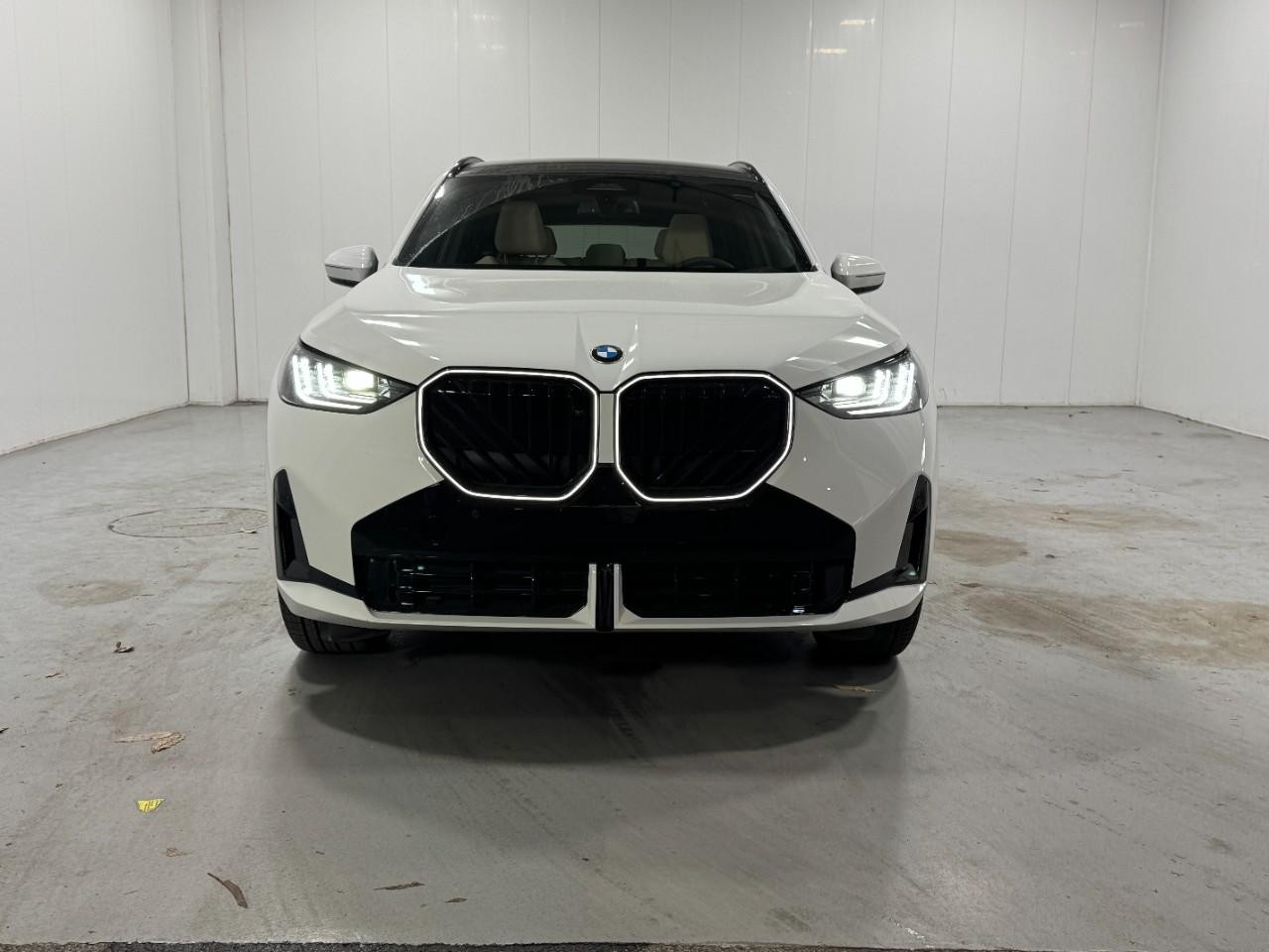 BMW X3 Vehicle Full-screen Gallery Image 7