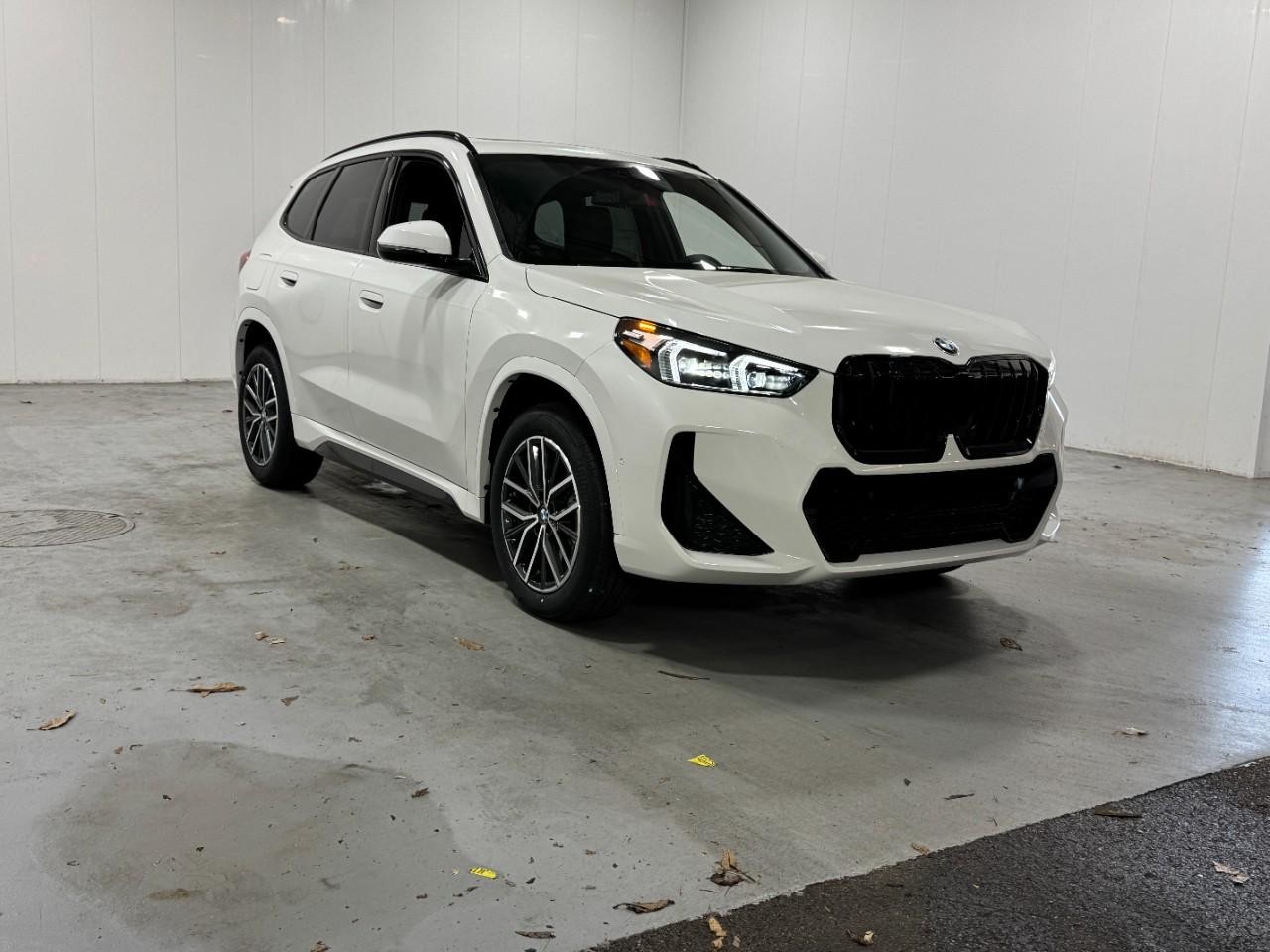 BMW X1 Vehicle Full-screen Gallery Image 6